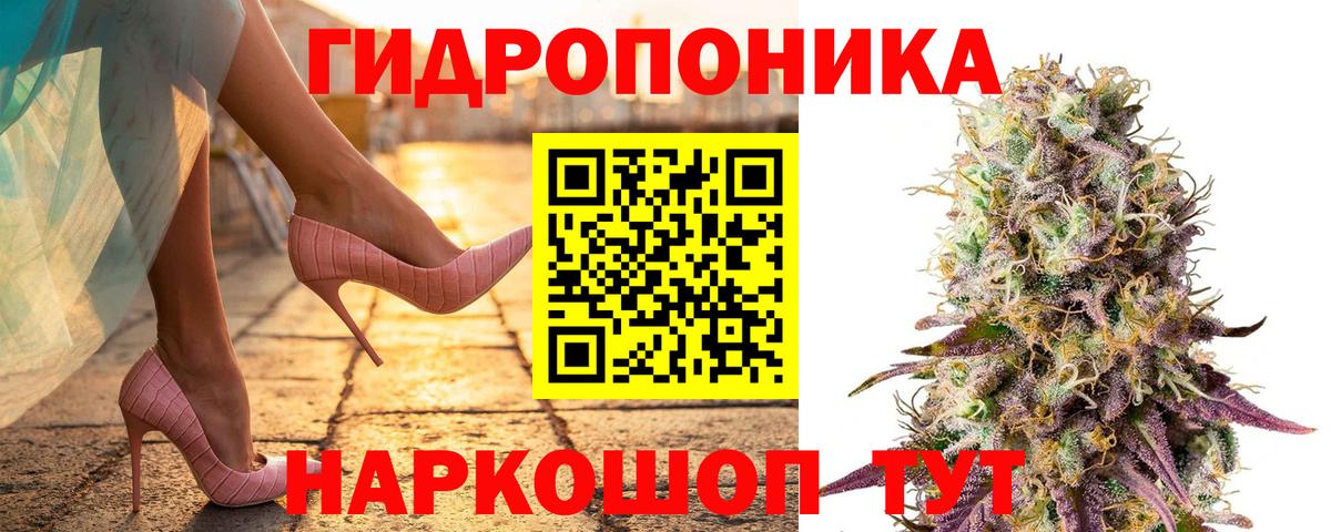 Бошки марихуана тримм  Канабис MAZAR  Марихуана White Widow  Вход с VPN  Архангельск 